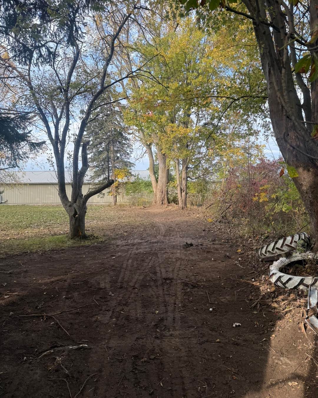 Dirt path through trees in an outdoor setting with a building visible on the left side.