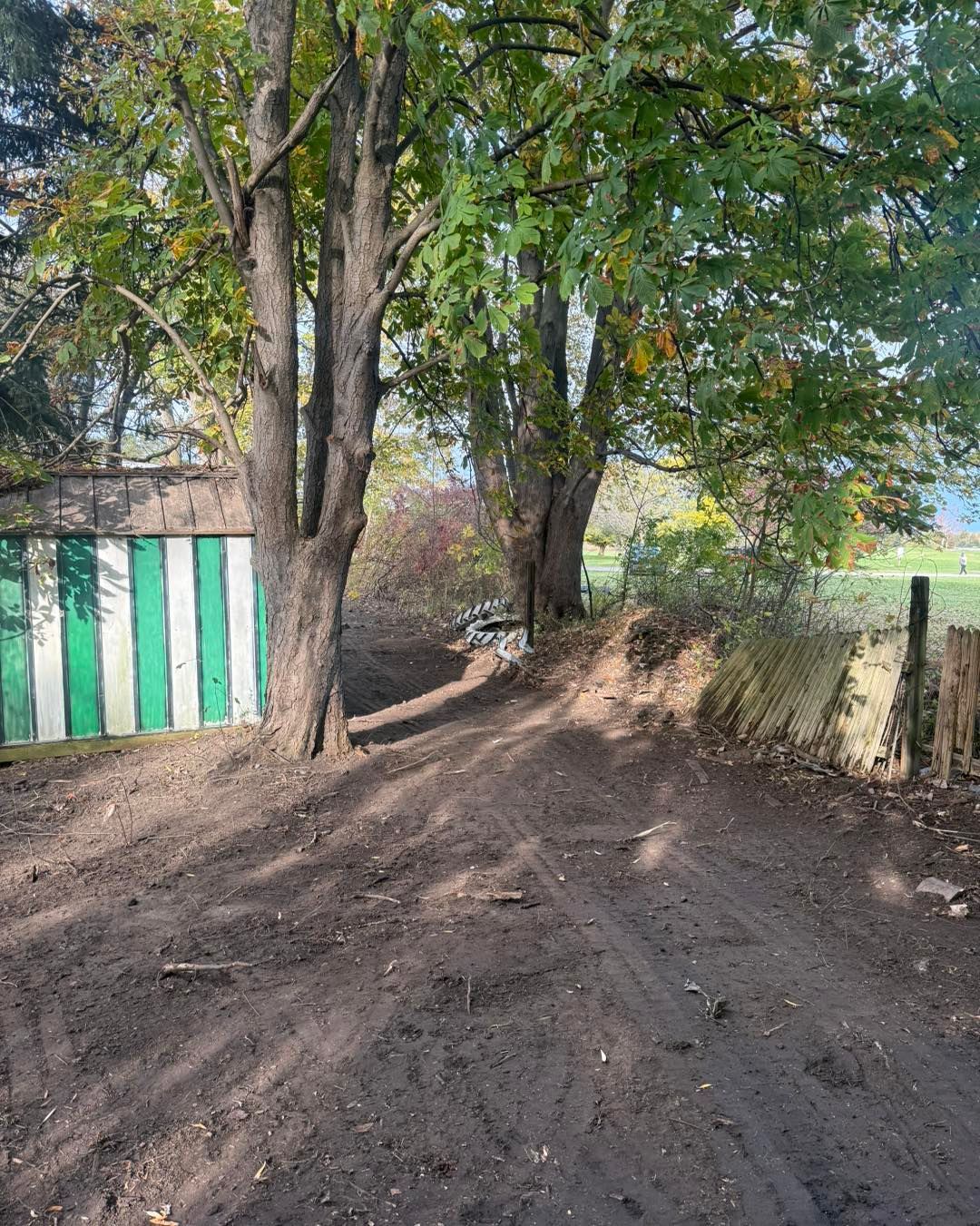 Dirt road between trees leading towards a green and white striped structure and a fence, sunny day.