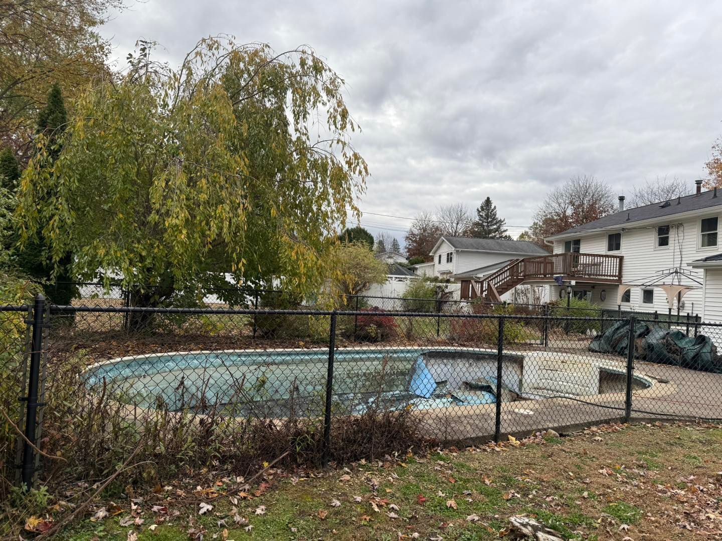 A neglected, oval-shaped swimming pool in a backyard, enclosed by a black fence. Overcast sky.