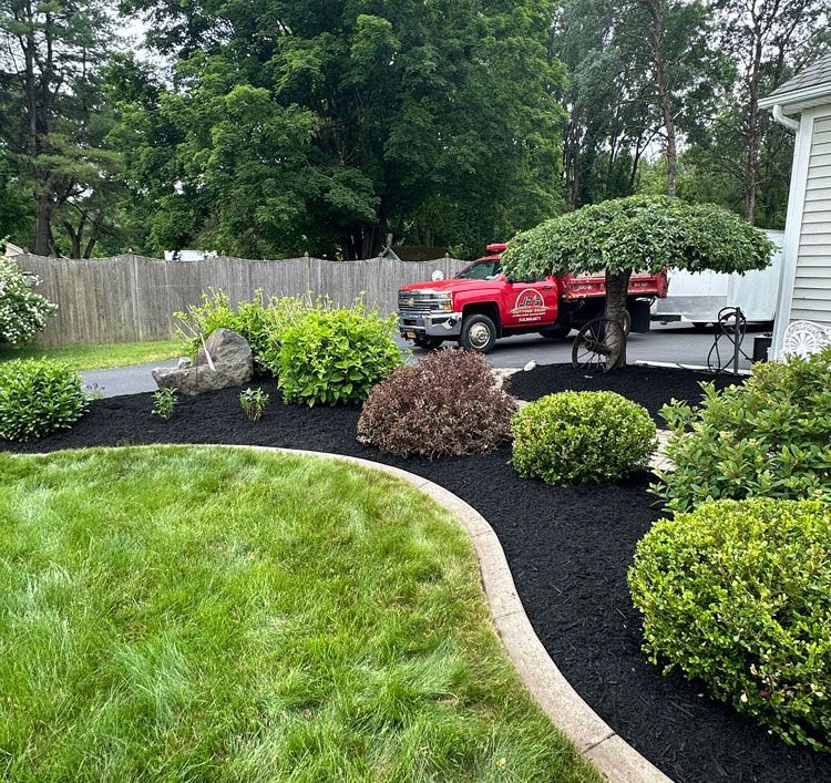 Lawn with green grass, black mulch, and shrubs with a red truck in the background next to a house.