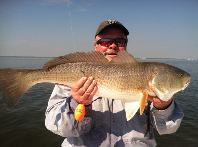 Inshore Trout Red Tripletail Sheephead Flounder Fishing