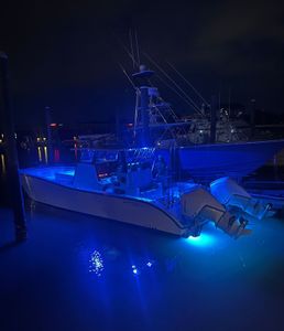 awesome offshore fishing trips in this amazing catamaran
