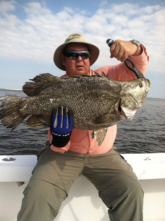 Inshore Trout Red Tripletail Sheephead Flounder Fishing