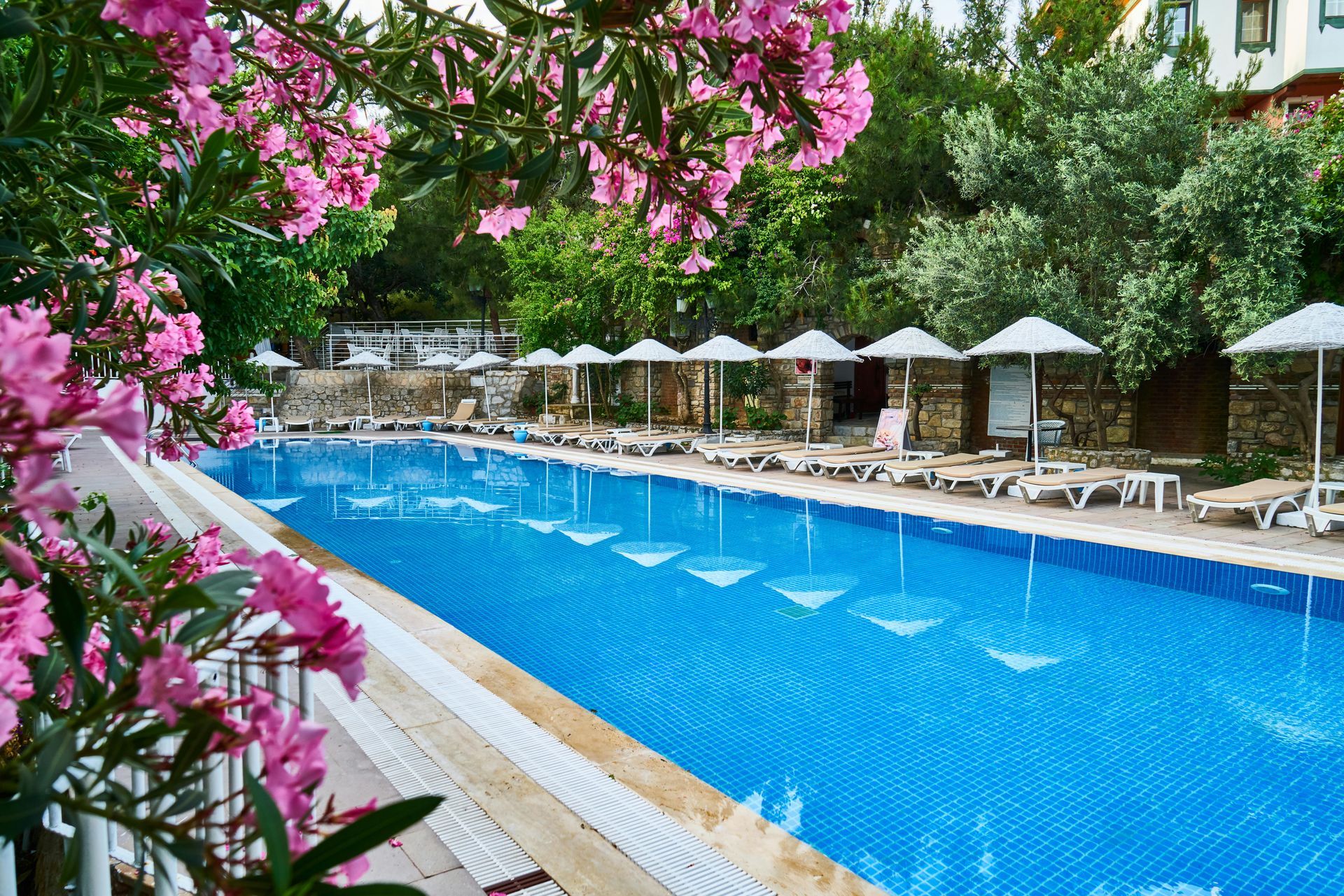 Resort pool with blue water, white loungers and umbrellas, framed by pink bougainvillea and lush greenery
