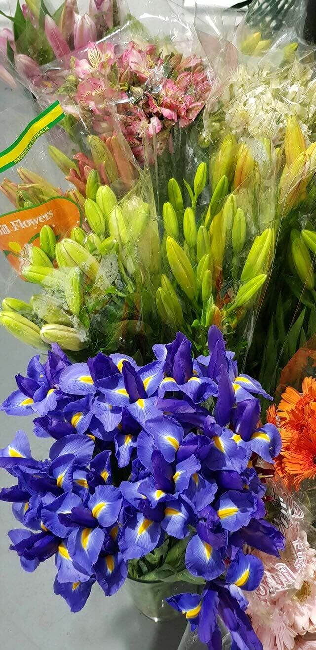 Blue Flowers — Bouquets in Wanguri, NT