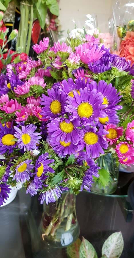 Violet Flowers — Bouquets in Wanguri, NT