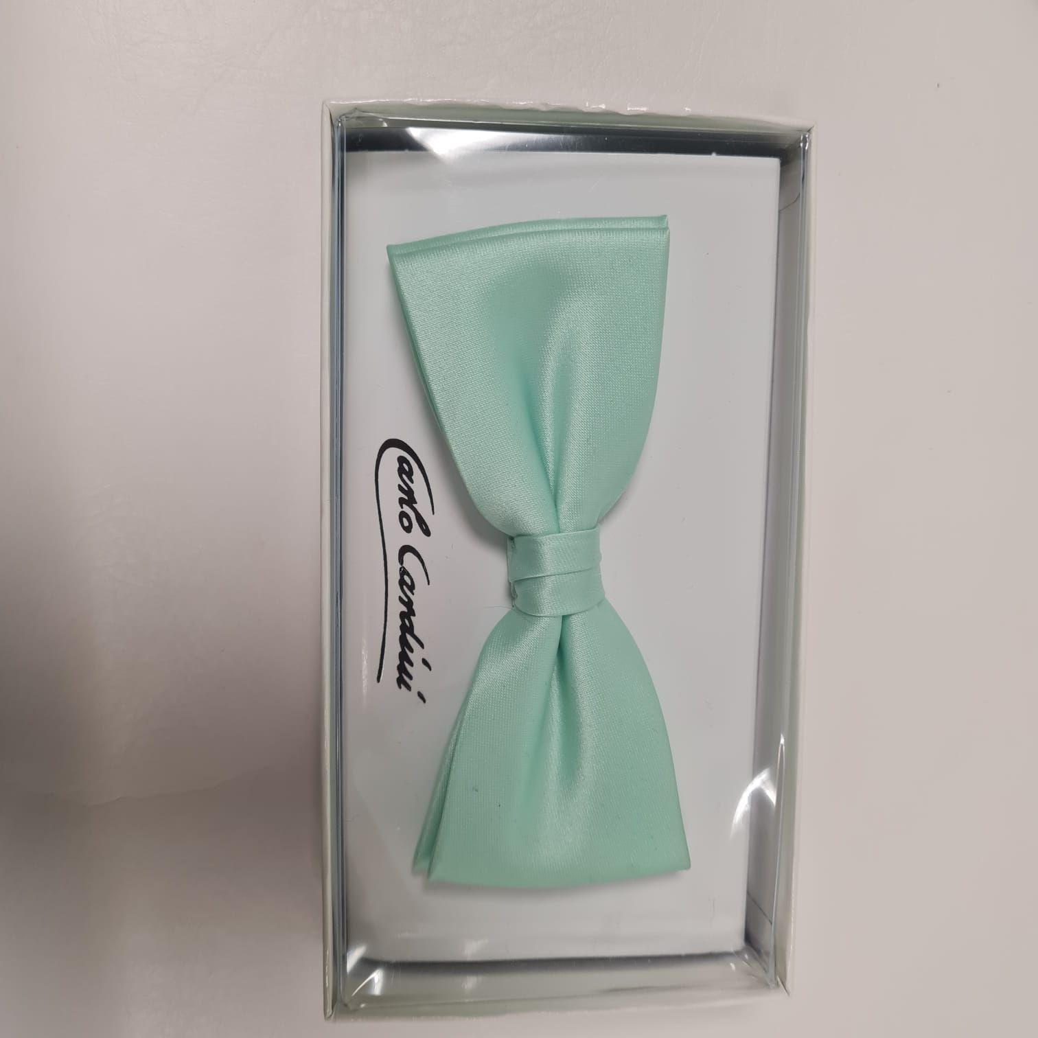 Eine mintgrüne Fliege befindet sich in einer weißen Schachtel