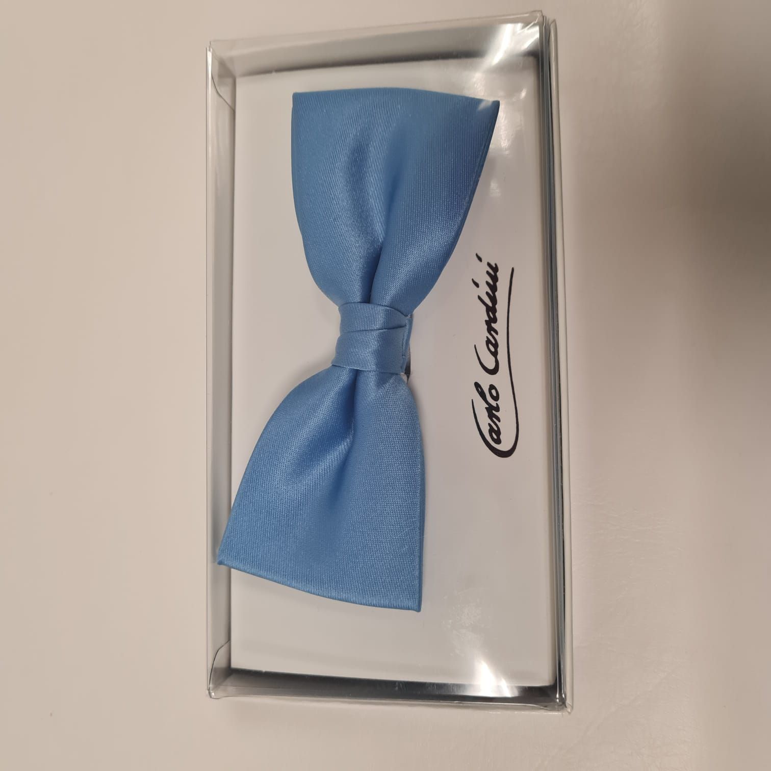 Eine hellblaue Fliege befindet sich in einer durchsichtigen Box