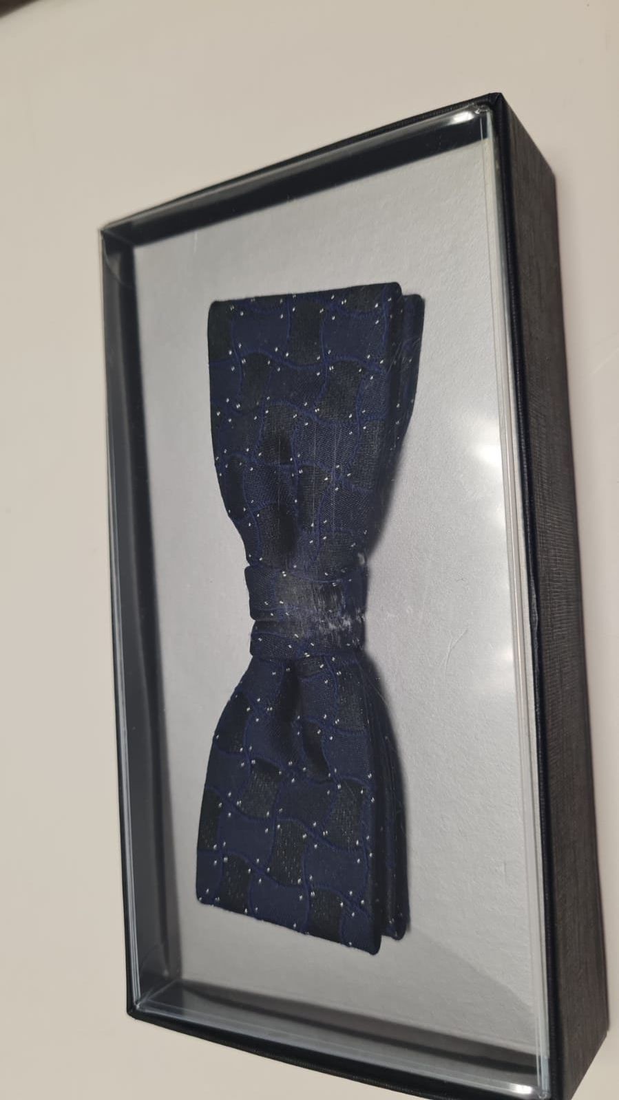 Eine blaue Fliege liegt in einer Schachtel an einer weißen Wand.