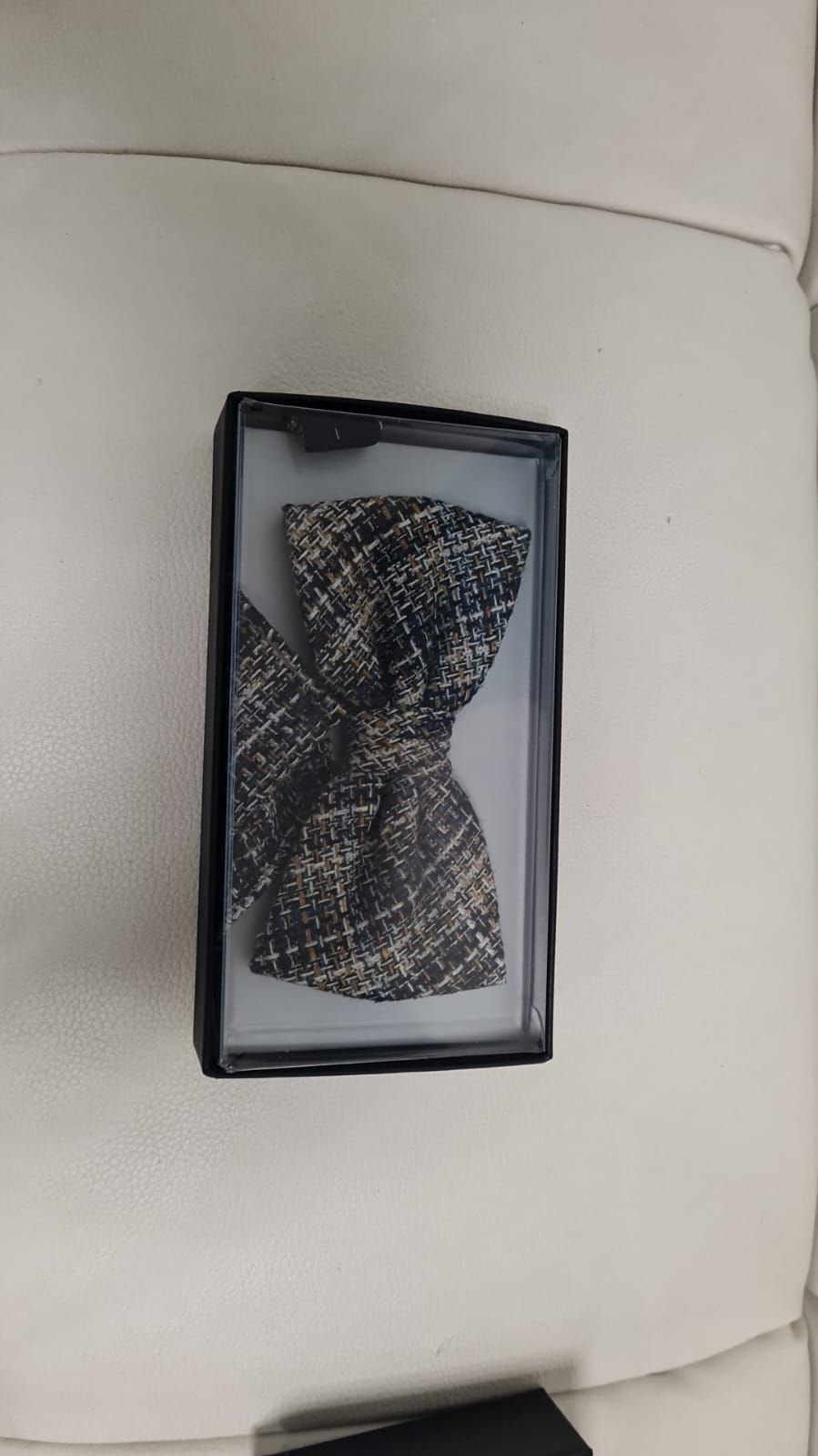 Eine Fliege liegt in einer Schachtel auf einem weißen Sofa.