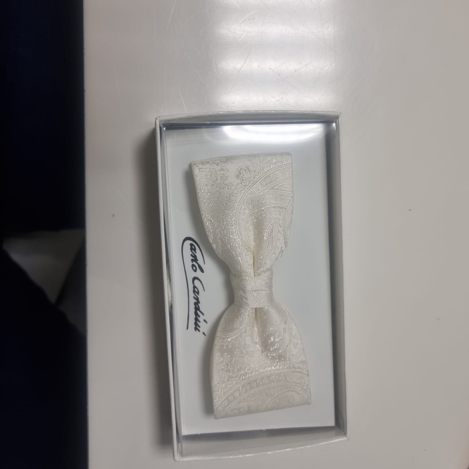 Eine weiße Fliege liegt in einer Schachtel auf einem Tisch.