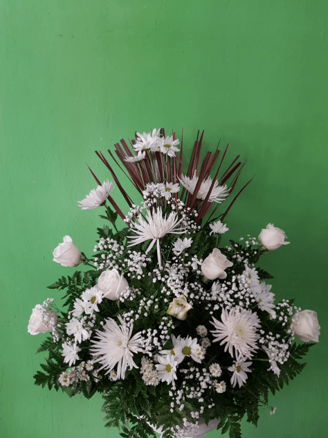 Un jarrón lleno de flores blancas contra una pared verde.