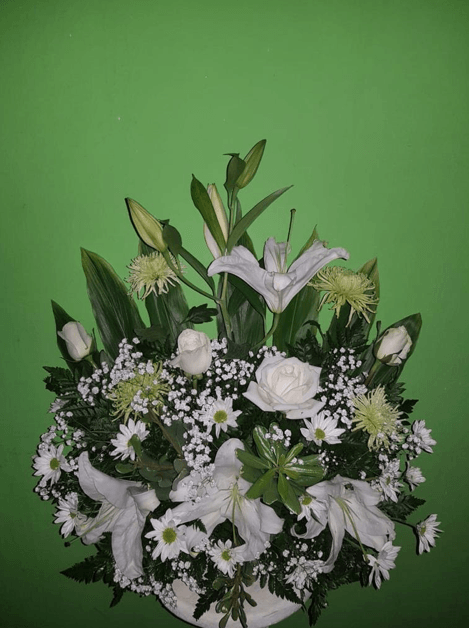 Un jarrón lleno de flores blancas sobre un fondo verde.