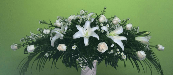 Un jarrón lleno de flores blancas y vegetación sobre un fondo verde.