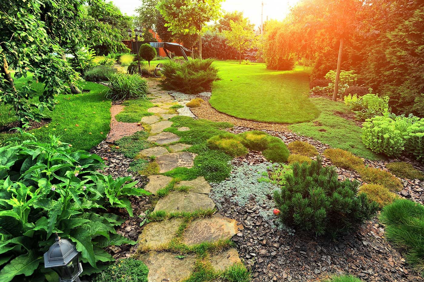 A stone path leading through a lush green garden.