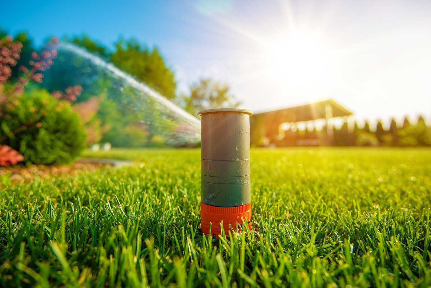 A sprinkler is spraying water on a lush green lawn.