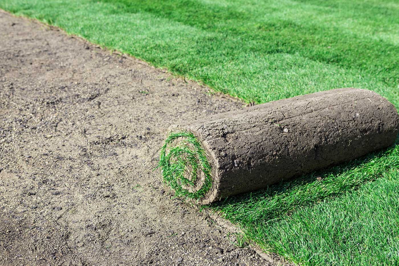 A roll of sod is sitting on top of a lush green lawn.