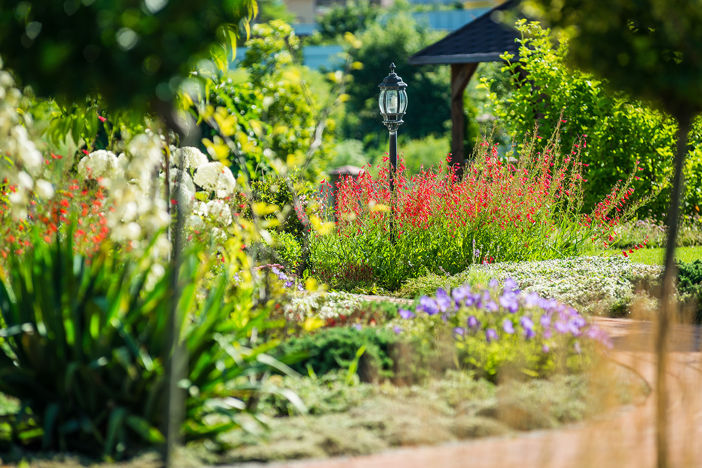A garden filled with lots of flowers and plants with a gazebo in the background.