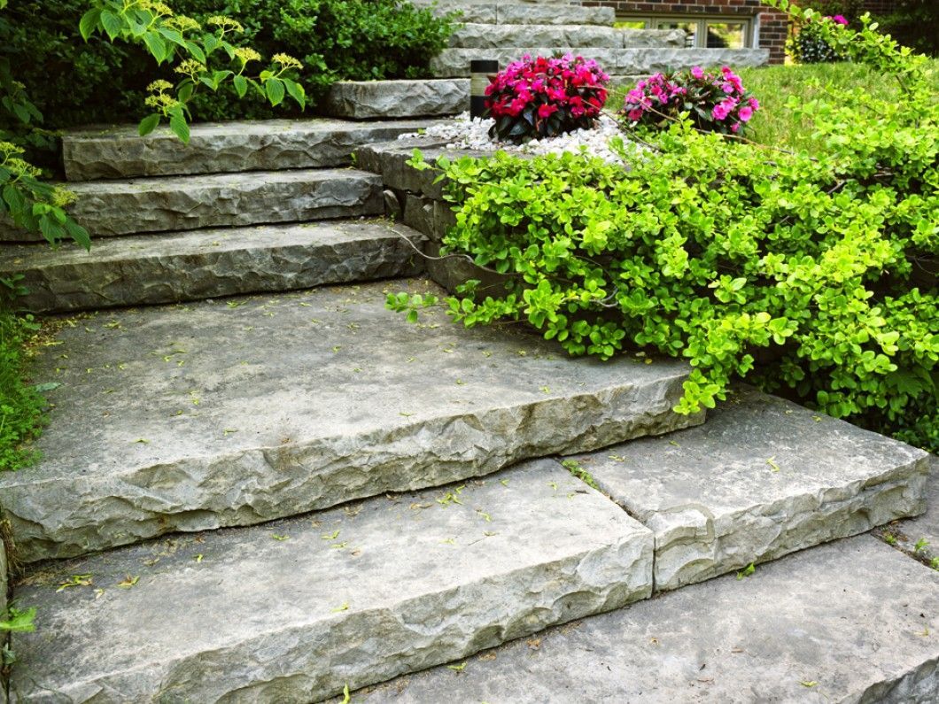 A set of stone stairs surrounded by plants and flowers in a garden.