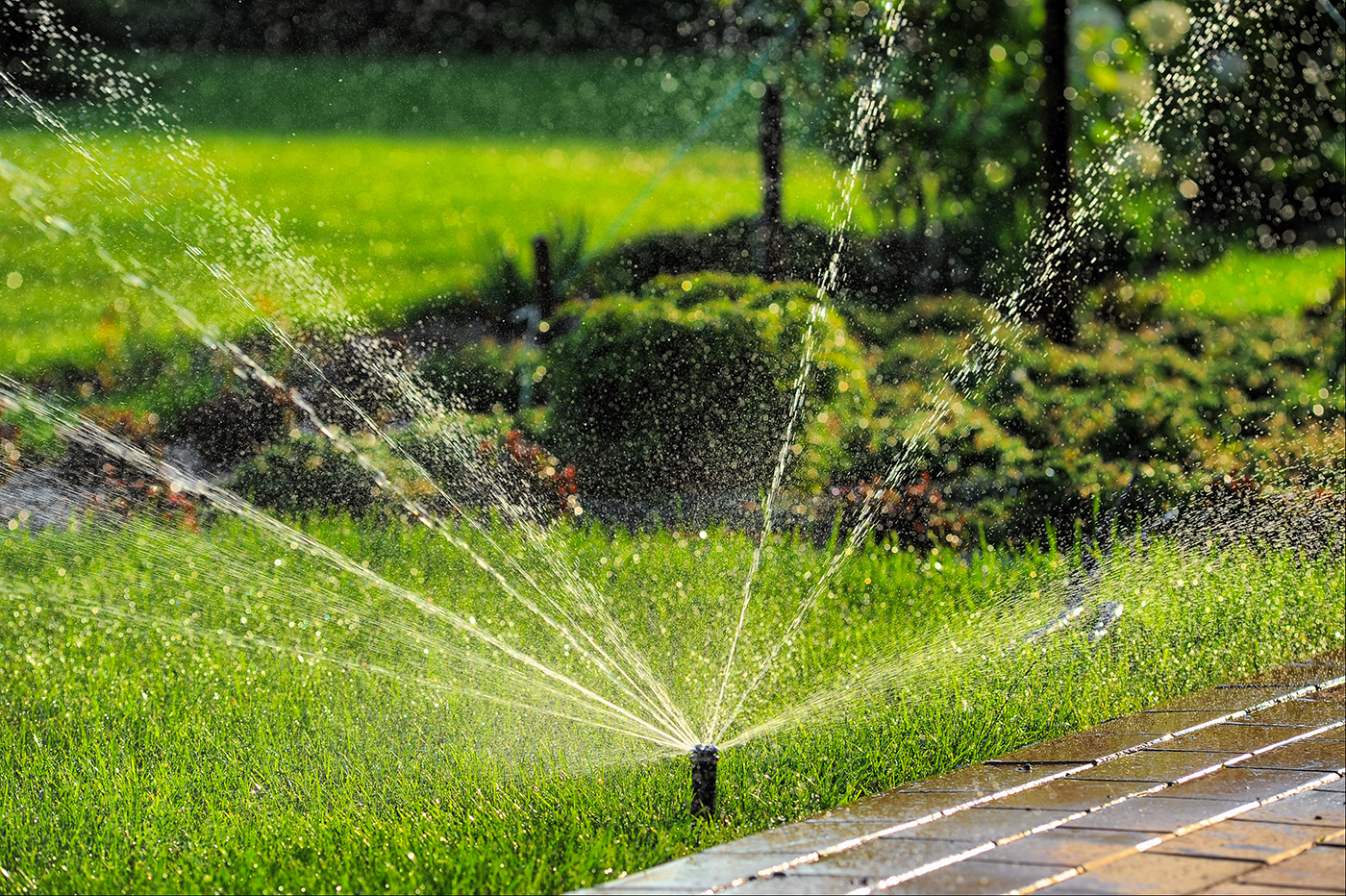 A sprinkler is spraying water on a lush green lawn.