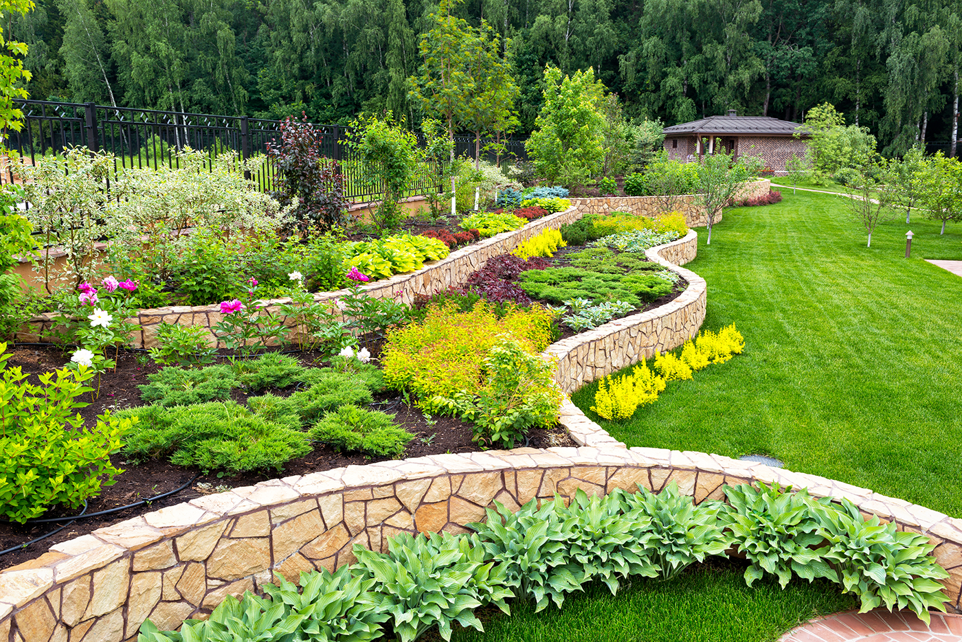 A lush green garden with a stone wall and lots of plants.