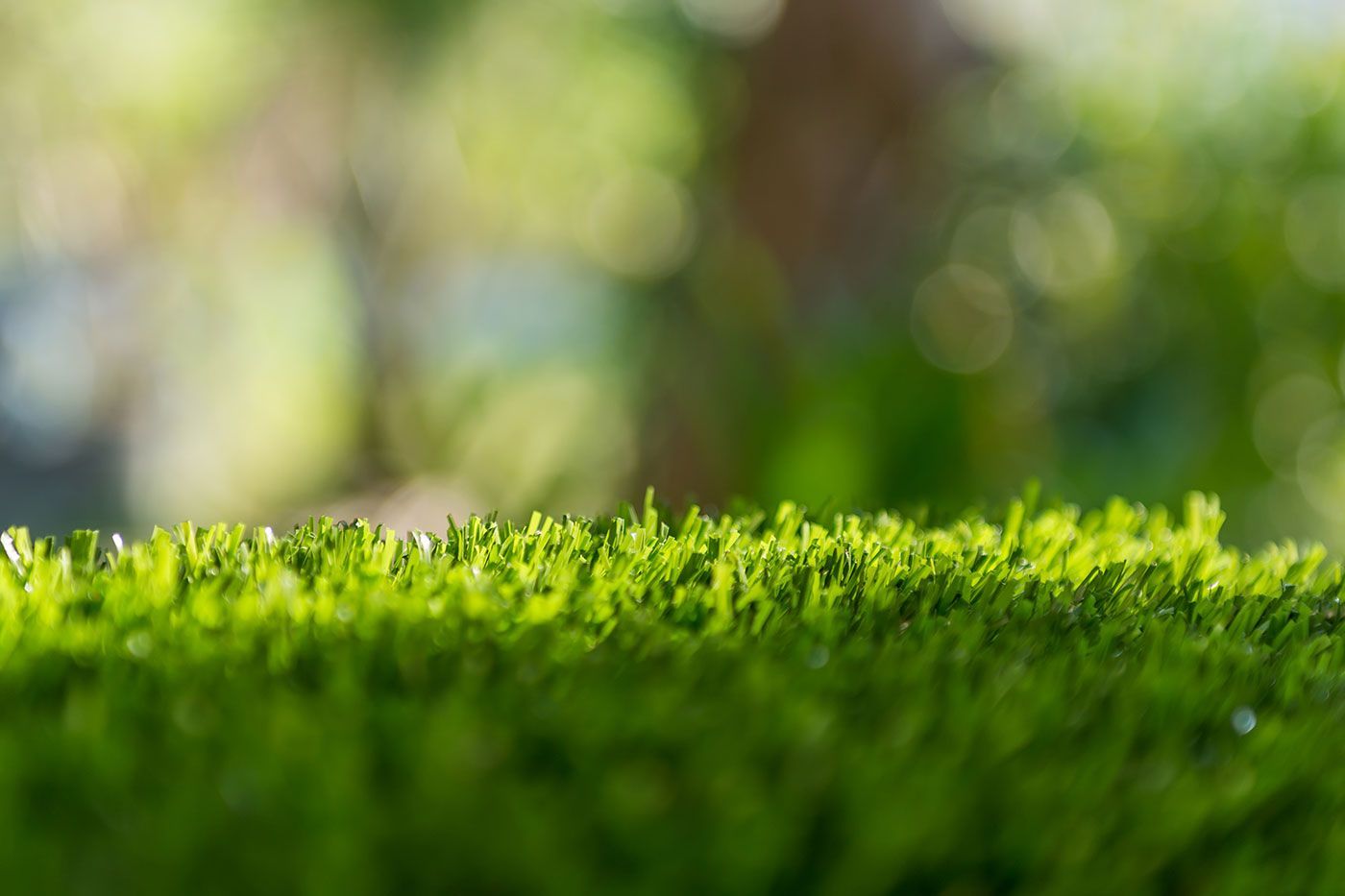A close up of a patch of green grass with a blurry background.