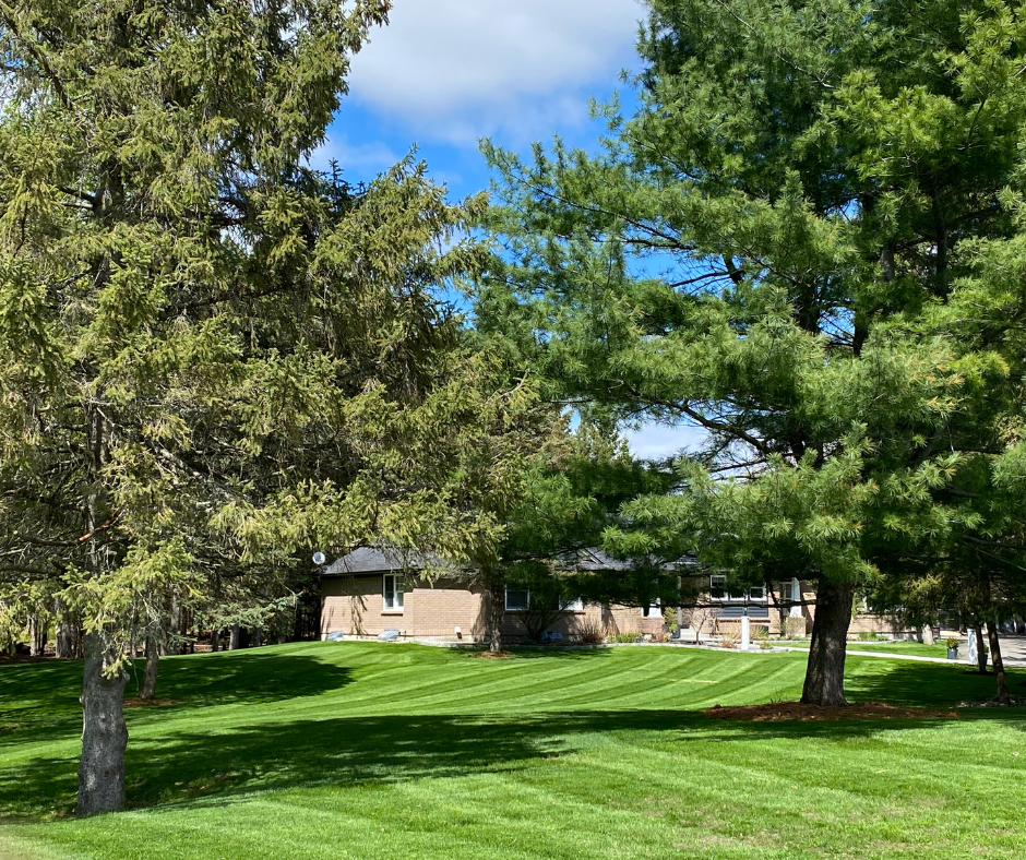 Lawn Care done on property in Carp