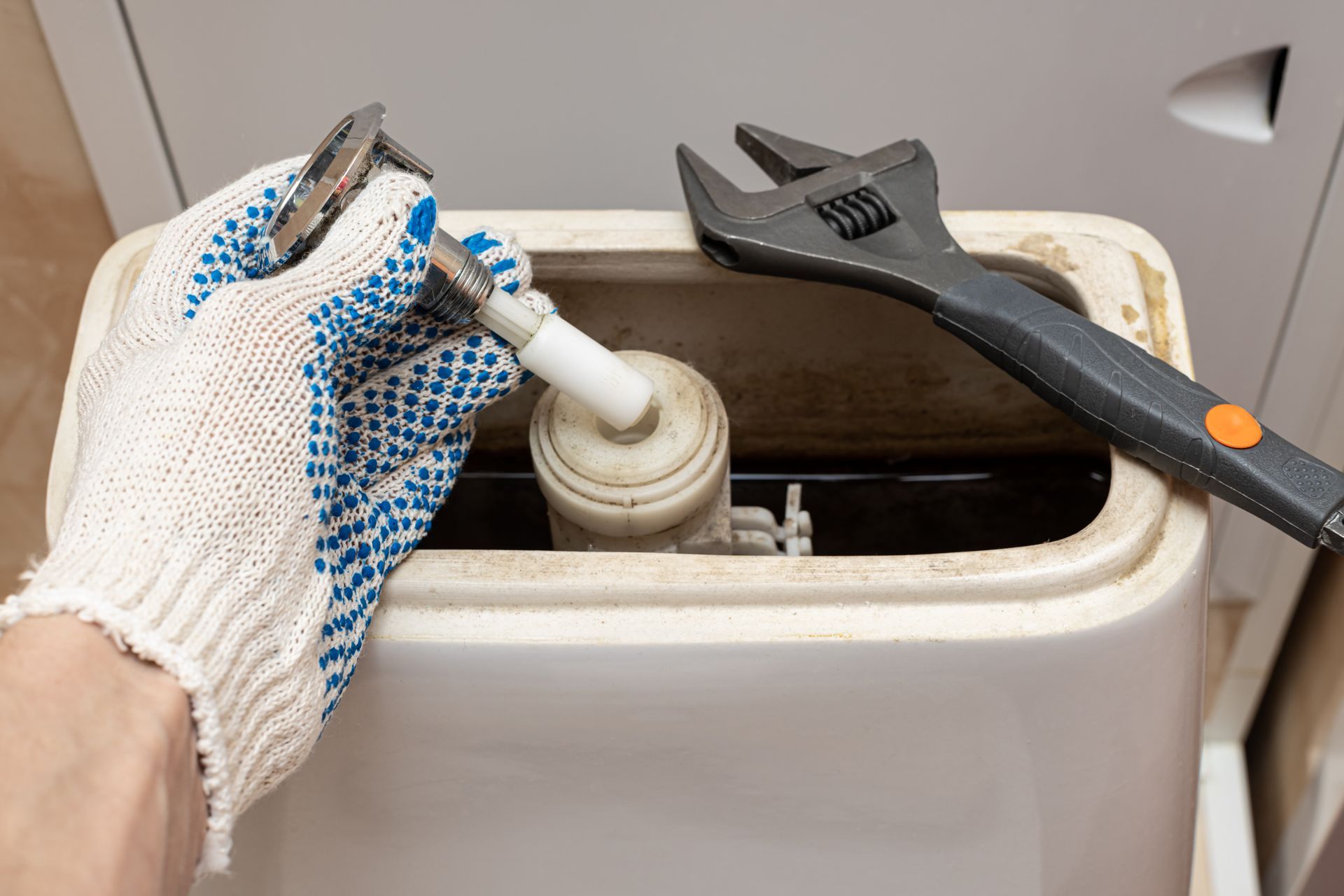 repair or replace toilet in your home
