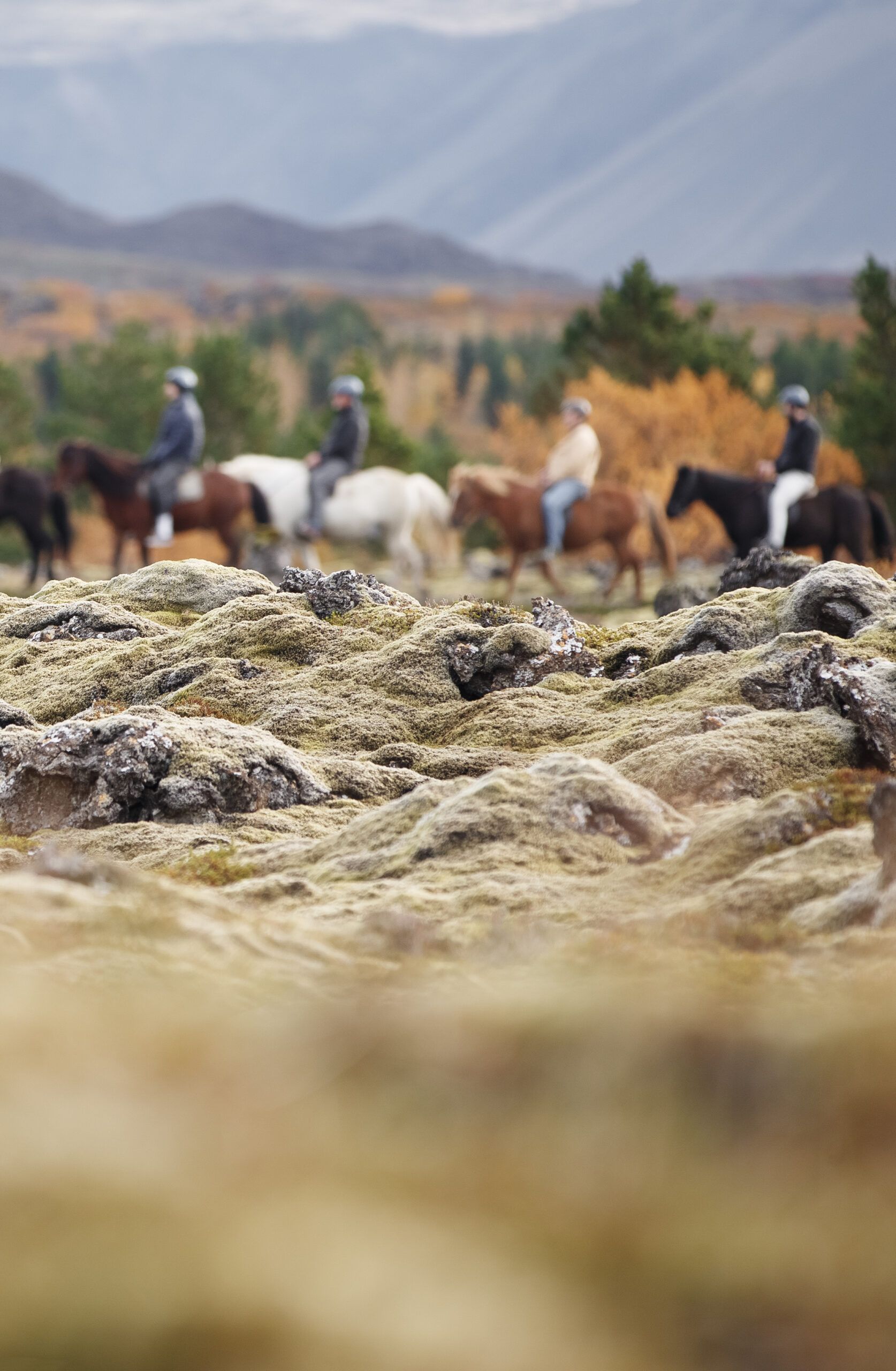 Lava Tour - Horseback Riding through the Lava Fields