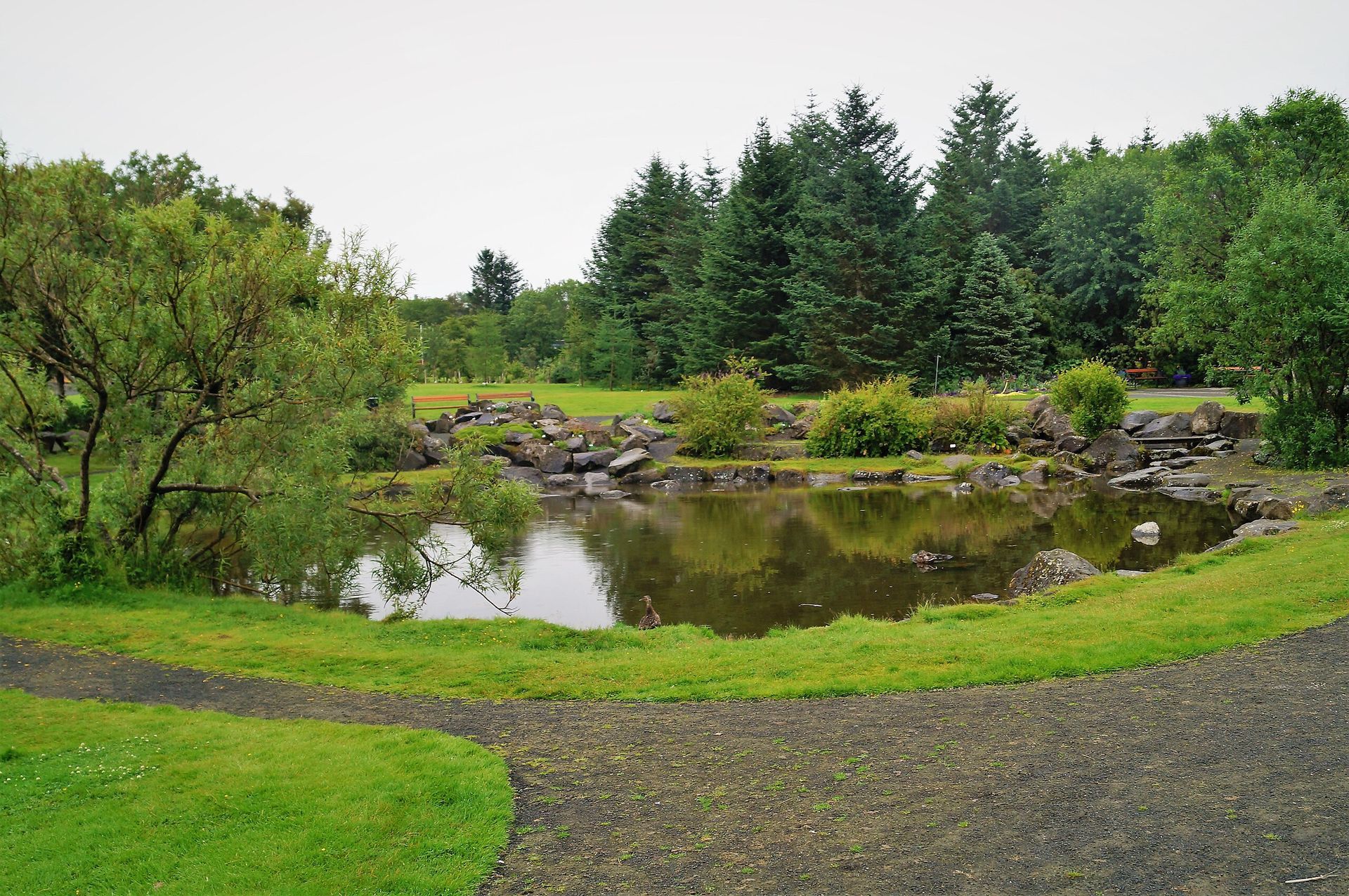 Pond in a park, with green grass and trees surrounding it. Gravel path in foreground. Overcast sky.