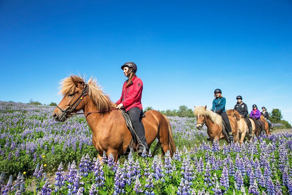 Private Horseback Riding Tour