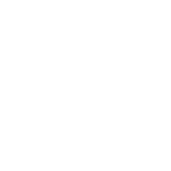 icona Servizio professionale