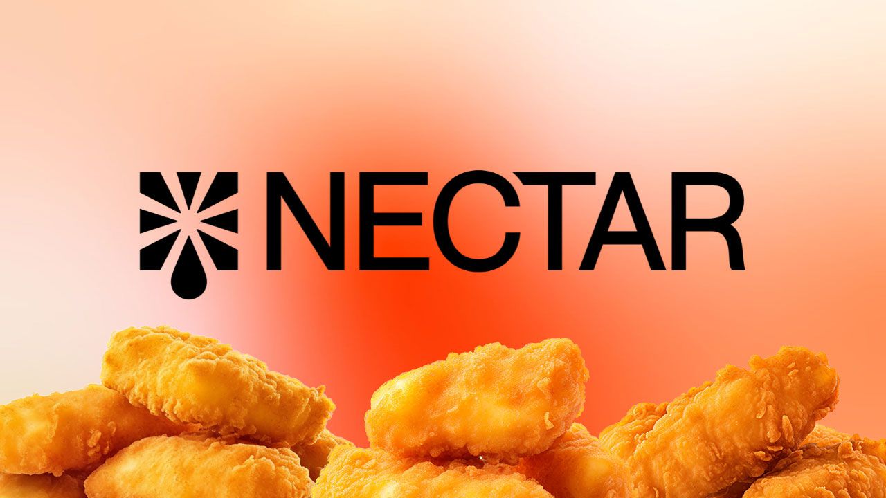 A bunch of chicken nuggets with the nectar logo in the background