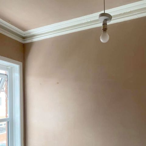Coving and plastered wall