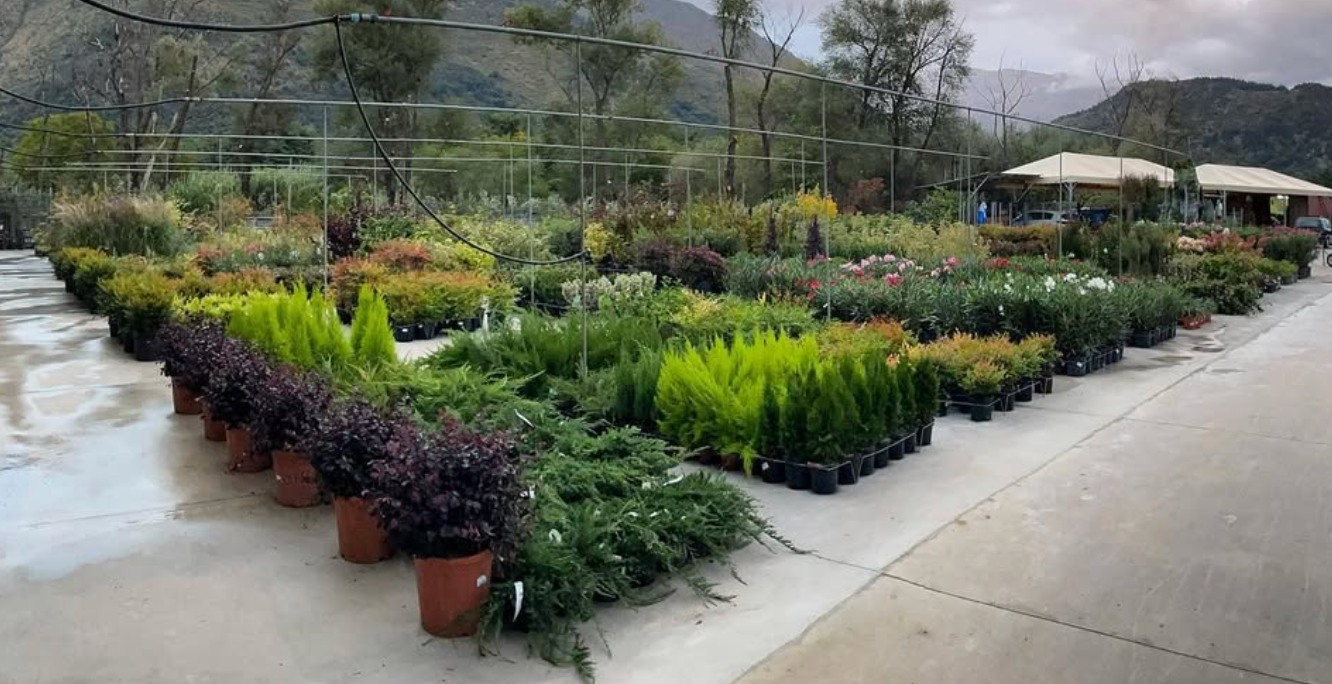 giardino esterno con alberi e piante