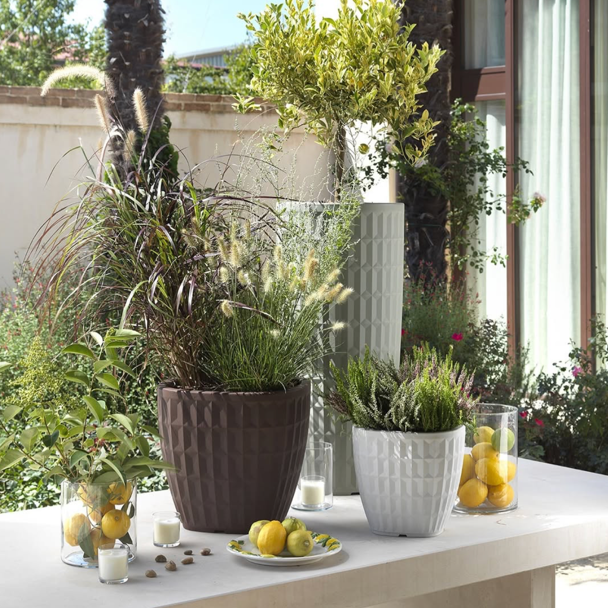 fiori gialli in vasi bianchi