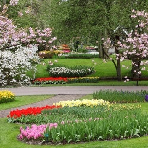 Lo staff completo di giardinaggio dal berretto fino alle utensili compresi i fiori