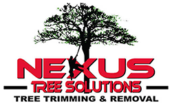 Logo for Reedy Roofing. Features a green 