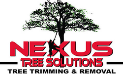 Logo for Nexus Tree Solutions: a tree silhouette with a person trimming it; red text.
