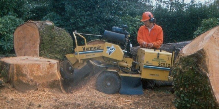Un uomo sta usando una macchina per rimuovere un ceppo d'albero.