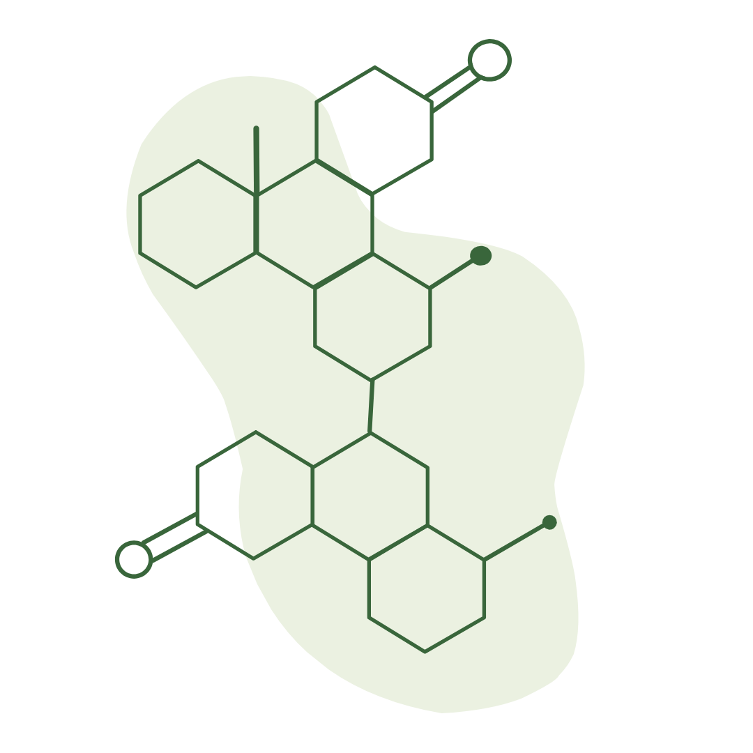 Illustration representing personalized hormone and wellness care