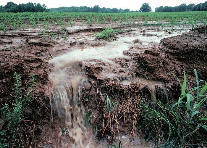 Heavy rainfall can lead to ground saturation - which can have implications for your home.