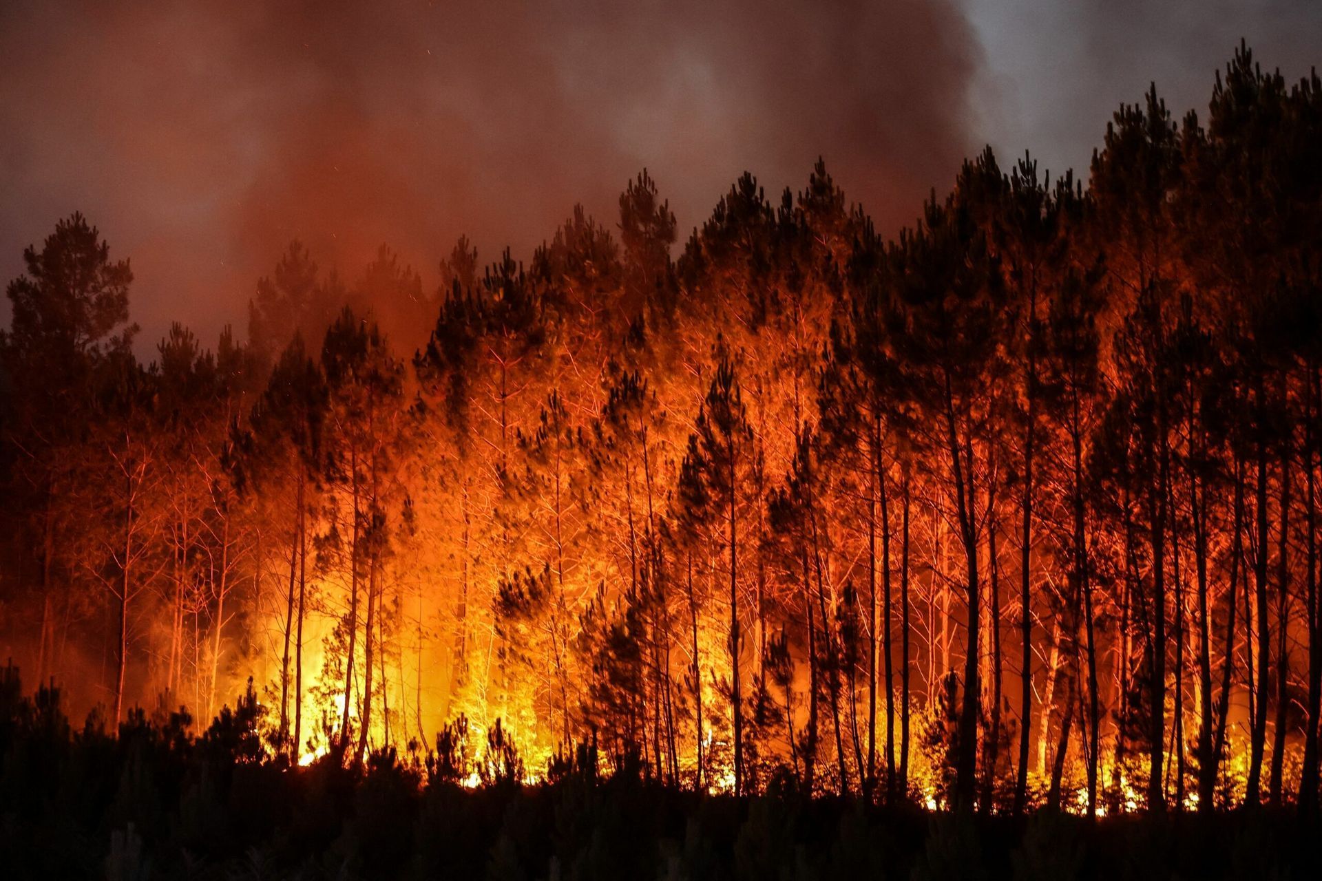 Brush fires represent a unique threat to both natural and human environments. 