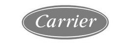 Carrier logo in white text inside a gray oval.