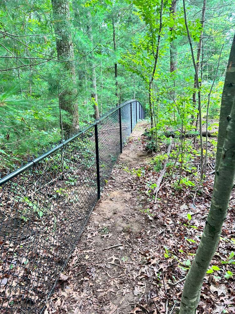 A path in the woods with a fence in the background.