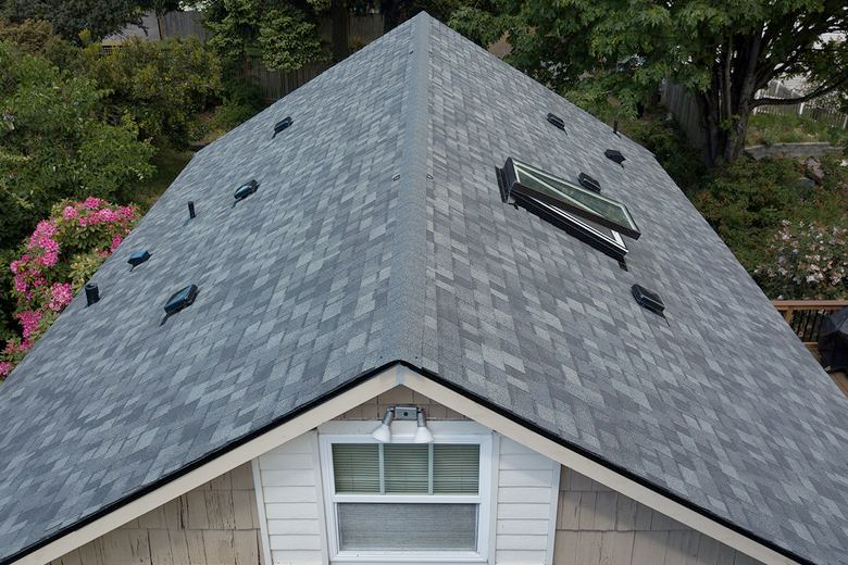Gray shingle roof with skylight, vents, and white window on a house, set against greenery.
