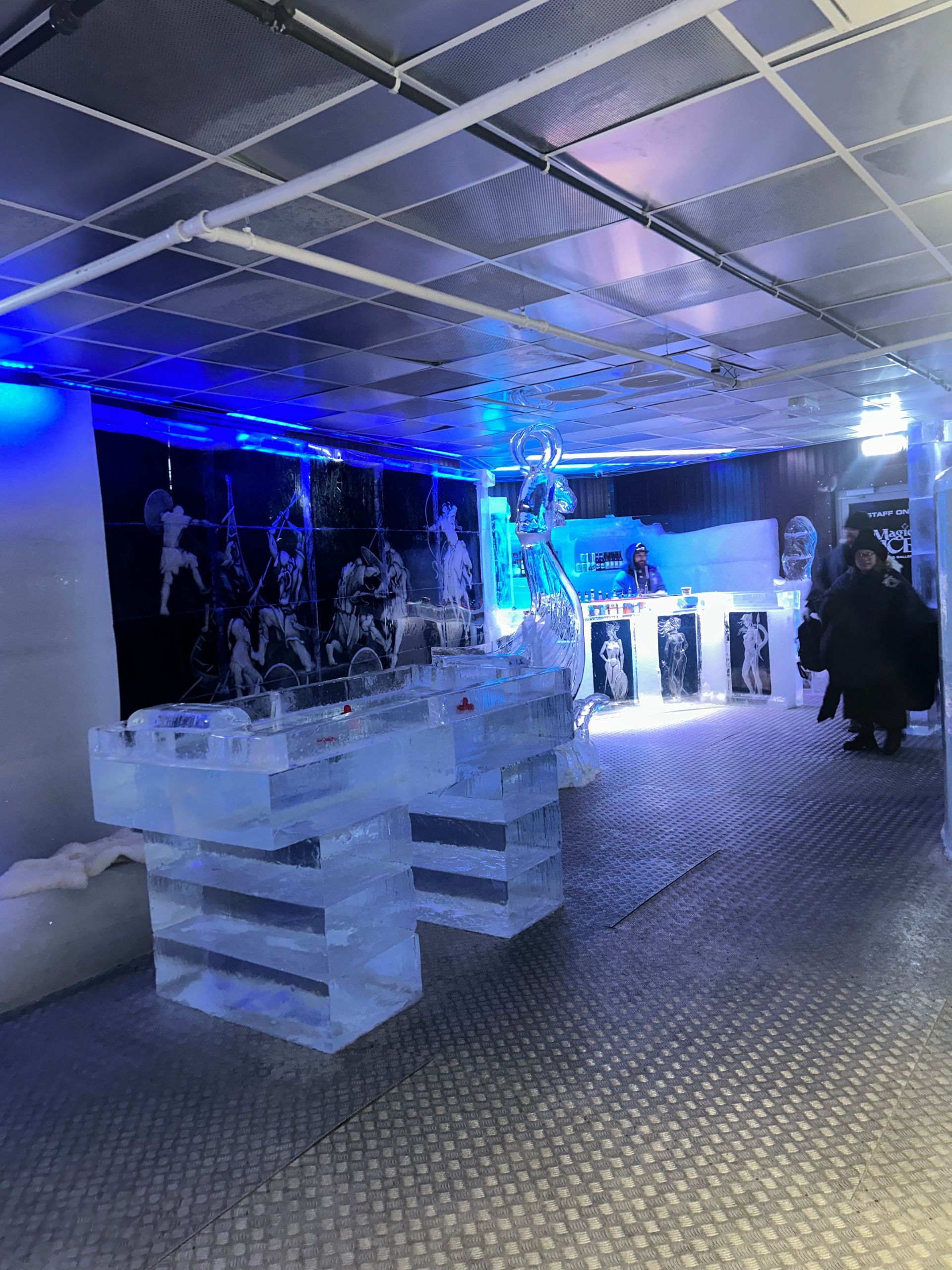 Iceland - Magic Ice Bar