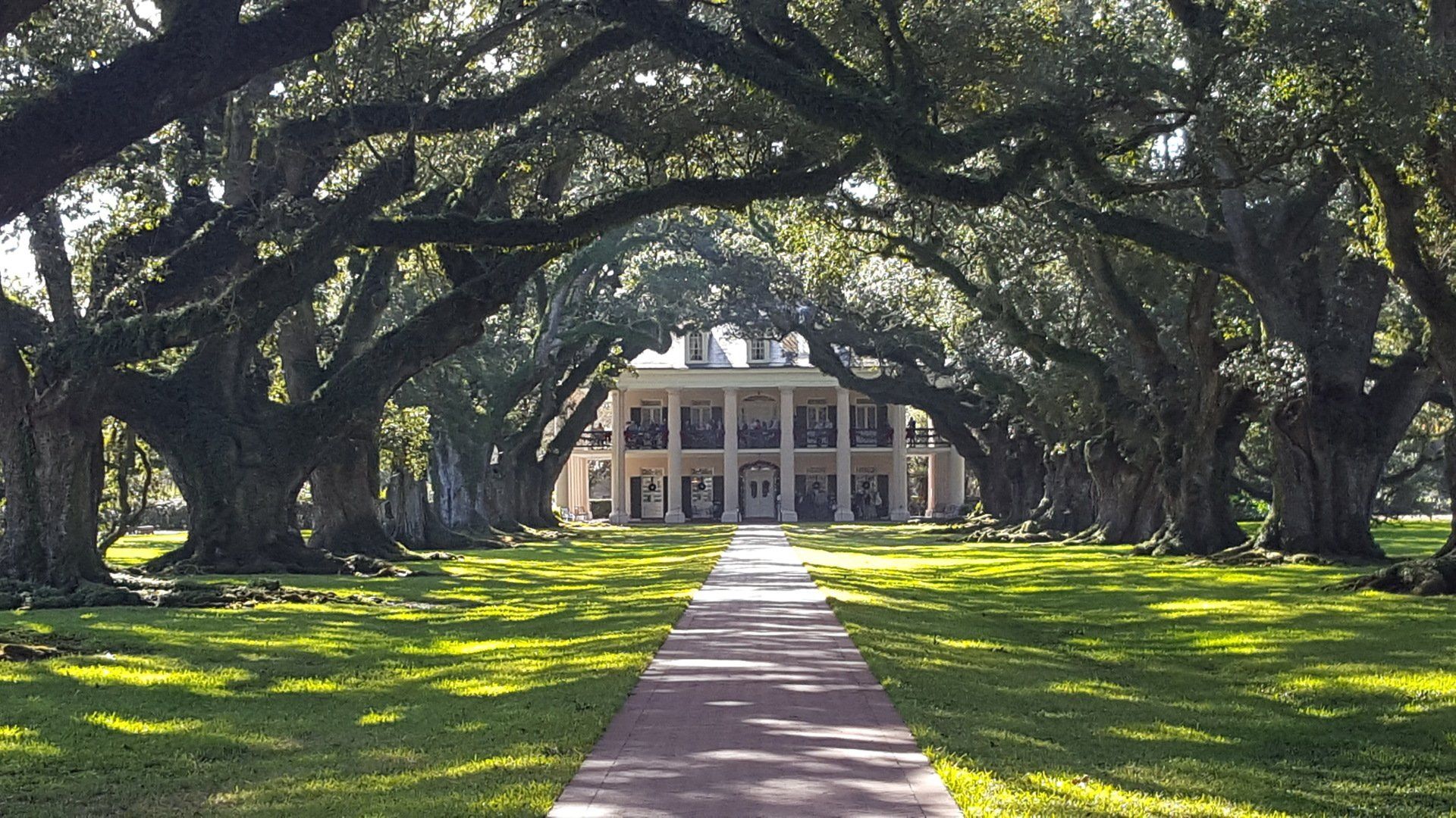 Mississippi River Cruise  New Orleans Oak Alley Plantations