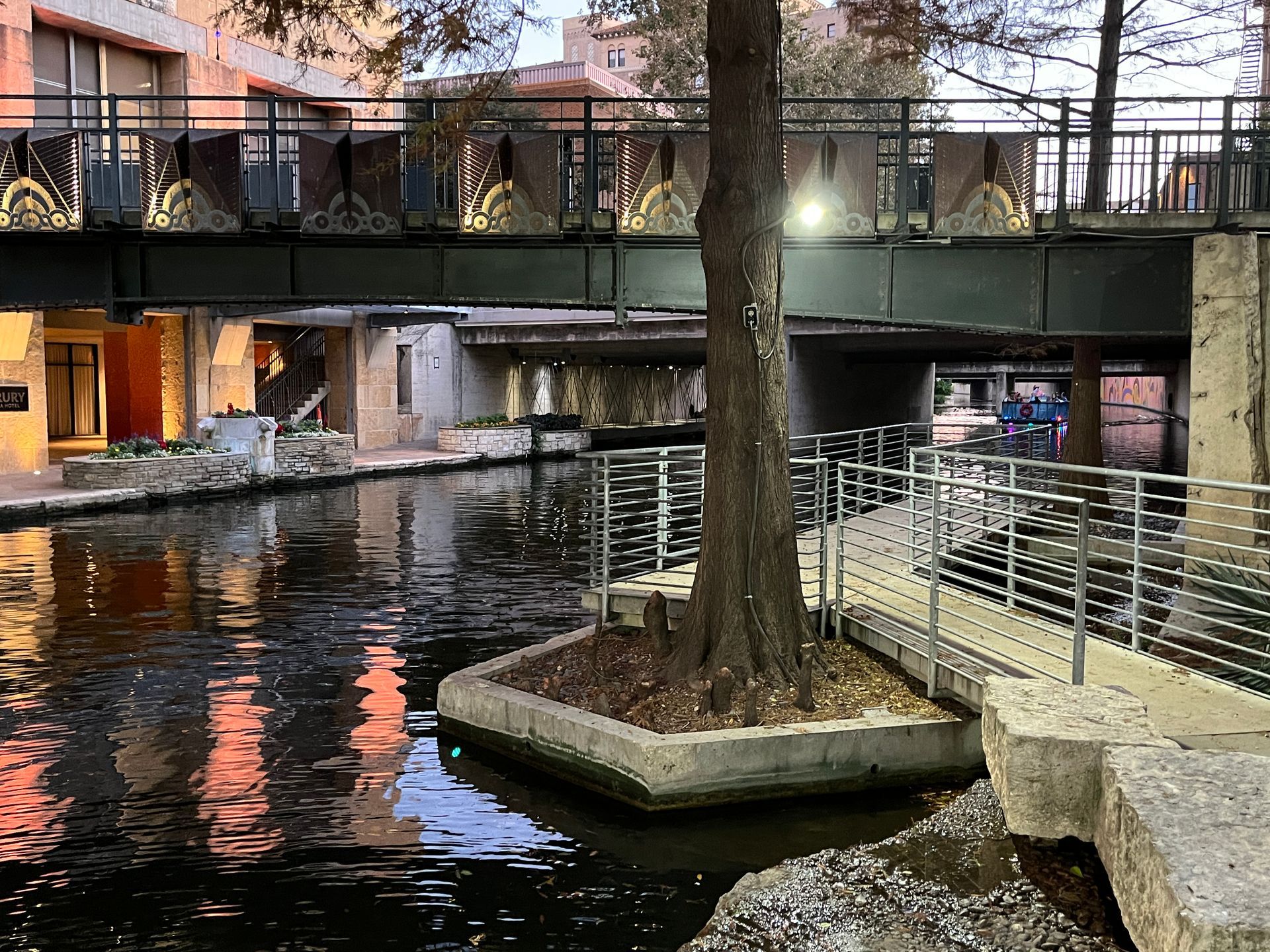 San-Antonio-Texas-Riverwalk Tree planted along River