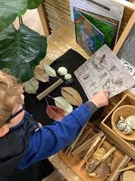 Child pointing at a sheet with insect drawings, surrounded by natural items like leaves and sticks. — Kinburra Preschool (Kincumber) in Kincumber, NSW
